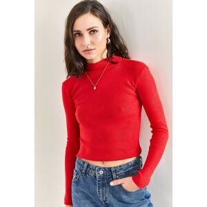 Bianco Lucci Blouse - Rot - Fitted
