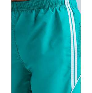 Men's Turquoise Swimwear Dstreet