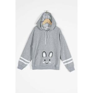 zepkids Sweatshirt - Gray - Regular fit