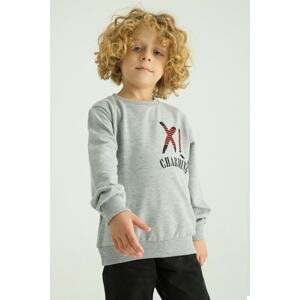 zepkids Sweatshirt - Gray - Regular fit