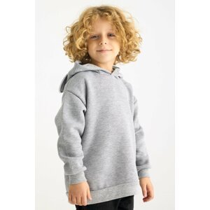 zepkids Sweatshirt - Gray - Regular fit