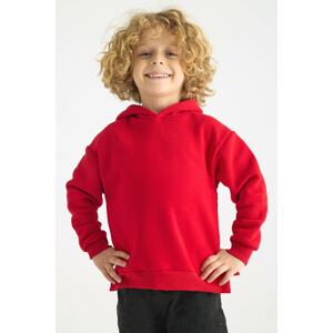 zepkids Sweatshirt - Red - Regular fit