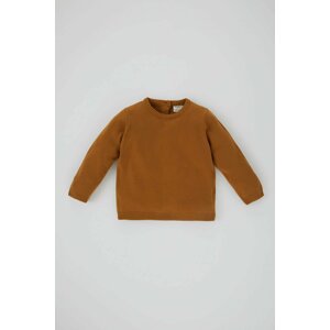 DEFACTO BabyBoy Regular Fit Pullover