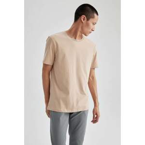 DEFACTO Regular Fit Crew Neck Basic Short Sleeve T-Shirt