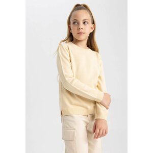 DEFACTO Girl Regular Fit Crew Neck Pullover