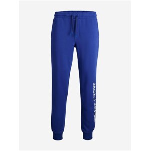 Blue Mens Sweatpants Jack & Jones Gordon - Men