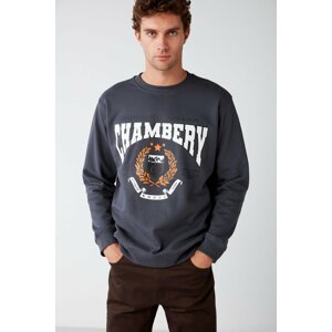 GRIMELANGE Sweatshirt - Gray - Relaxed fit