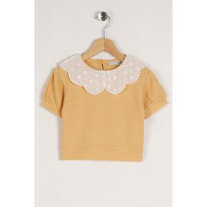 zepkids Girl Mustard-Colored Baby Collar Lace Mini-Check T-Shirt.