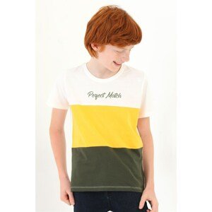 zepkids Boys' Ecru Khaki Perfect Match Printed Sectional Short Sleeve T-Shirt.
