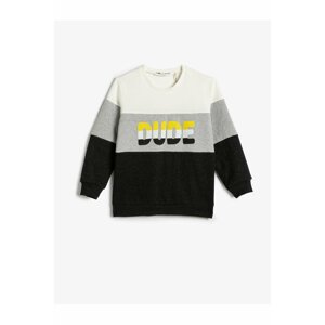 Koton Sweatshirt Raised Color Block Printed Crewneck Sweatshirt