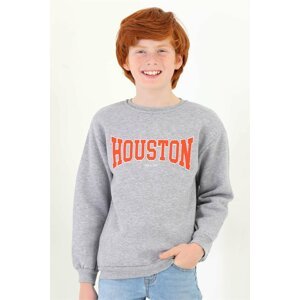zepkids Boys' Gray Houston Printed Sweatshirt
