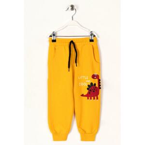 zepkids Boy's mustard-colored printed pocketed sweatpants.