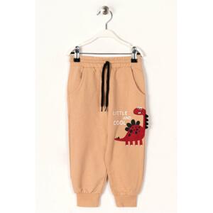 zepkids Boy's Beige Color Printed Pocket Sweatpants.