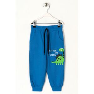 zepkids Boy Sax-Colored Printed Pocket Sweatpants