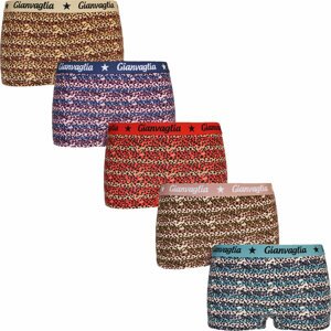 5PACK Girls' Panties with Boxer Shorts Gianvaglia Multicolor (813)