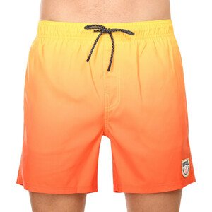 Men's swimwear Rip Curl multicolor