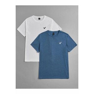 MOONBULL Set of 2, Blue-White Oversize T-shirts with a Bird Print on the Chest.