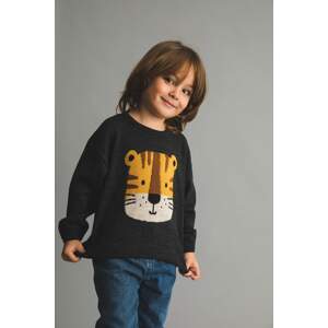 DEFACTO BabyBoy Regular Fit Animal Crew Neck Pullover