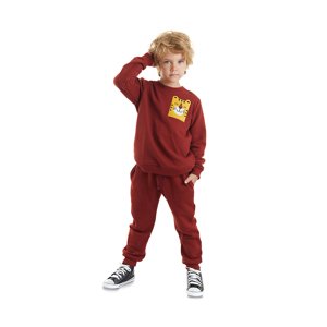 Denokids Tiger Boy Tracksuit Set