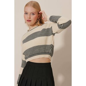 HAKKE Brass Knit Crop Sweater