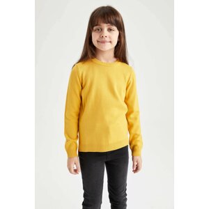 DEFACTO Girl Regular Fit Crew Neck Pullover