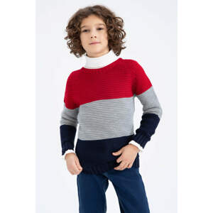 DEFACTO Boy Regular Fit Crew Neck Pullover