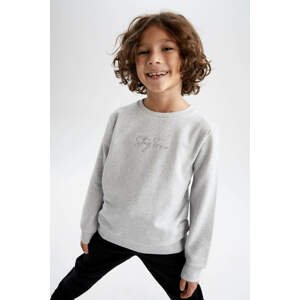 DEFACTO Regular Fit Crew Neck Sweatshirt