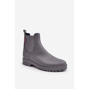 Women's low boots Birella gray color