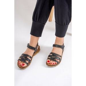 Fox Shoes Black Women's Sandals