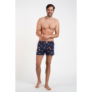 Men's boxer shorts Witalis - print