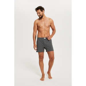 Men's boxer shorts Abel - print