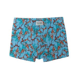 Hugon Boys' Boxer Shorts - Monkey Print