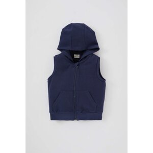 DEFACTO BabyBoy Regular Fit Vest