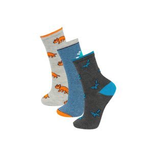 DEFACTO Boy 3 piece Long sock