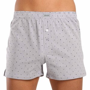 Men's shorts Andrie gray