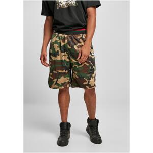 Southpole camo aop Basketball Shorts