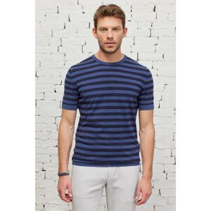 ALTINYILDIZ CLASSICS Men's Navy-Indigo Standard Fit Normal Cut, Crew Neck Cotton Striped Knitwear T-Shirt.