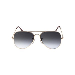 Sunglasses PureAv gold/grey