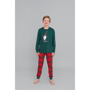 Boys' pyjamas Narwik, long sleeves, long legs - green/print