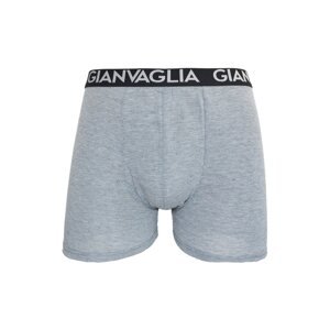 Men's boxers Gianvaglia grey