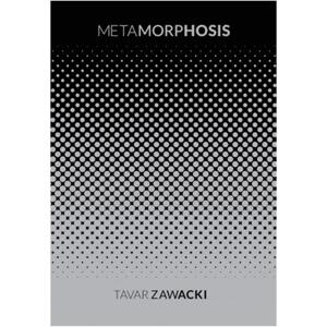 Metamorphosis - Tavar Zawacki multicolor