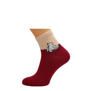 Socks Bratex D-005 Women Women's Winter Half-Cloth Pattern 36-41 burgundy 963