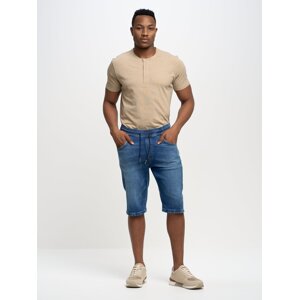 Big Star Man's Shorts 111313 Jeans Look-318