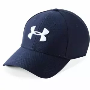 Baseball sapka Under Armour 1305036-040