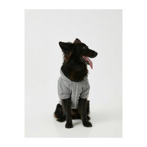 Koton Love Dog Hoodie & Sweatshirt