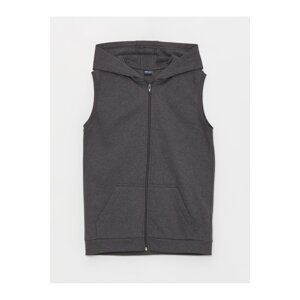 LC Waikiki Basic Boys' Zippered Vest with a Hoodie.