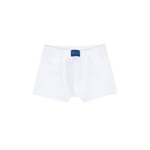 Apollo Boys' Boxers - White