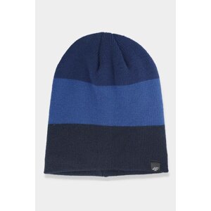 Men's winter hat 4F dark blue