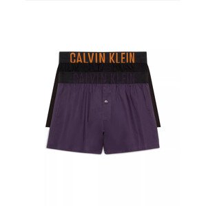 2PACK men's shorts Calvin Klein multicolor