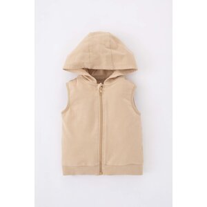 DEFACTO Baby Boy Hooded Sweat Vest